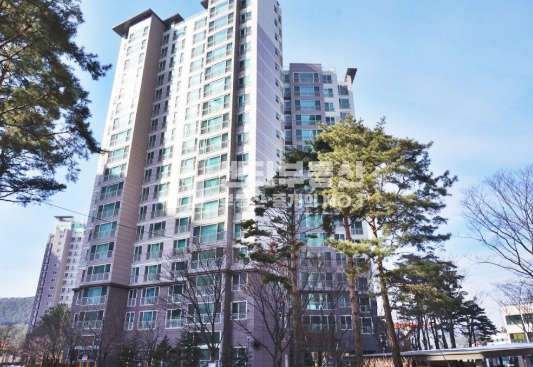 경기 남양주시 진접읍 부평리 104동 [남양주 진접읍 대단지 아파트 매매] 중층 남향 전용31평 매매 매물번호 10240 사진 1