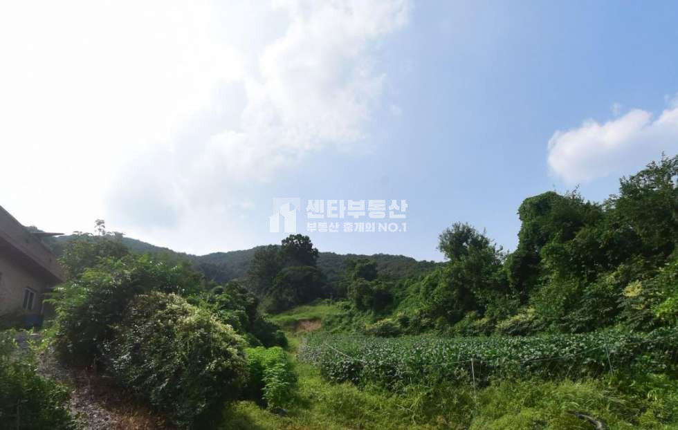 경기 안성시 금광면 오흥리 안성 금광면 가족묘지 추천 부지 생산관리 토지 매매 매매 매물번호 10461 사진 1