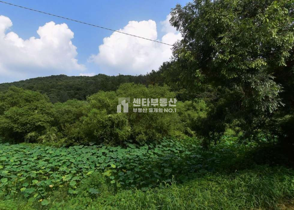 경기 안성시 금광면 오흥리 안성 금광면 431평 완경사 생산관리 토지 매매 매매 매물번호 10460 사진 1