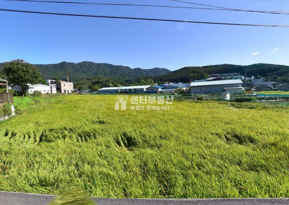 경기 남양주시 진접읍 팔야리 남양주 진접 산업단지 인근 계획관리 대형 토지 1,079p 매매 매물번호 10496 사진 1